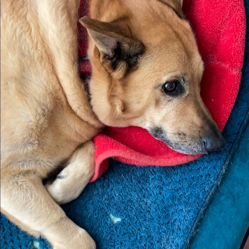 Meet your Posher, Hash